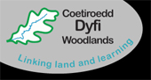 Dyfi Woodlands